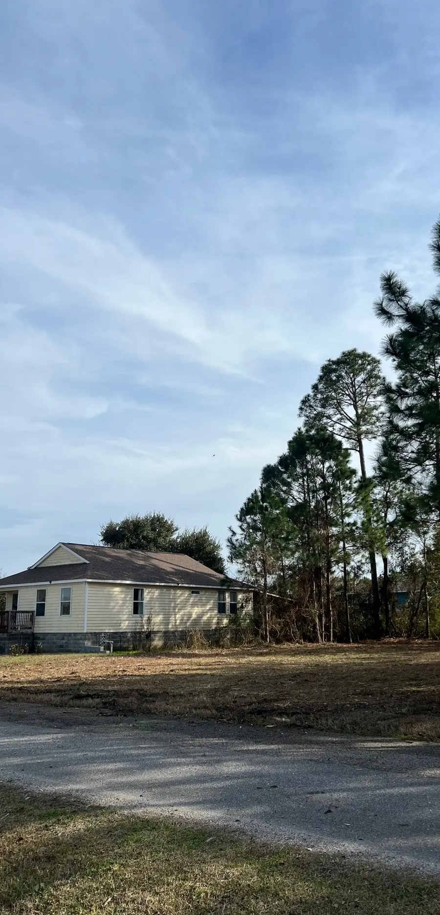 Roadside frontage cleared and opened along the pavement edge for a new drive in Northwest Florida