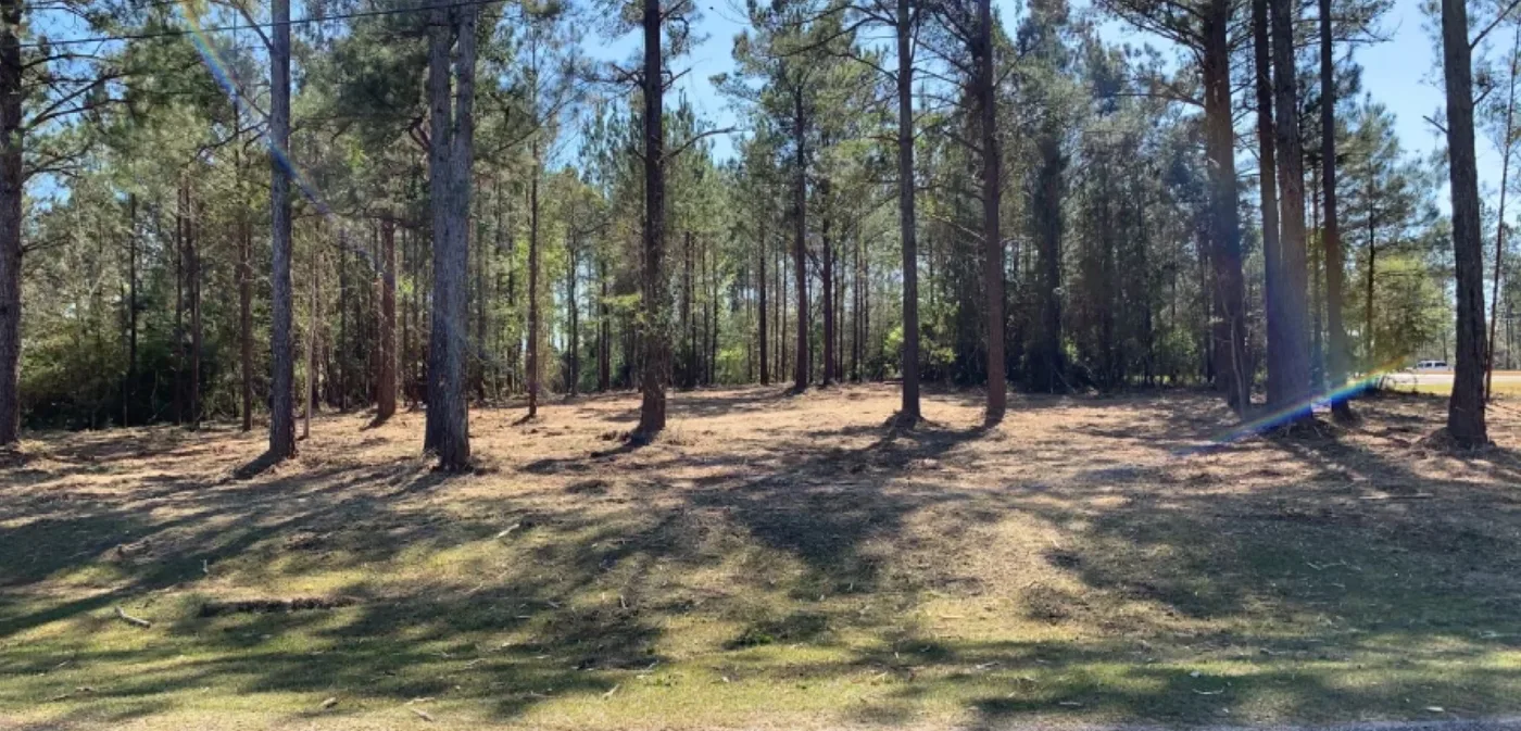 Firebreaks in Northwest Florida
