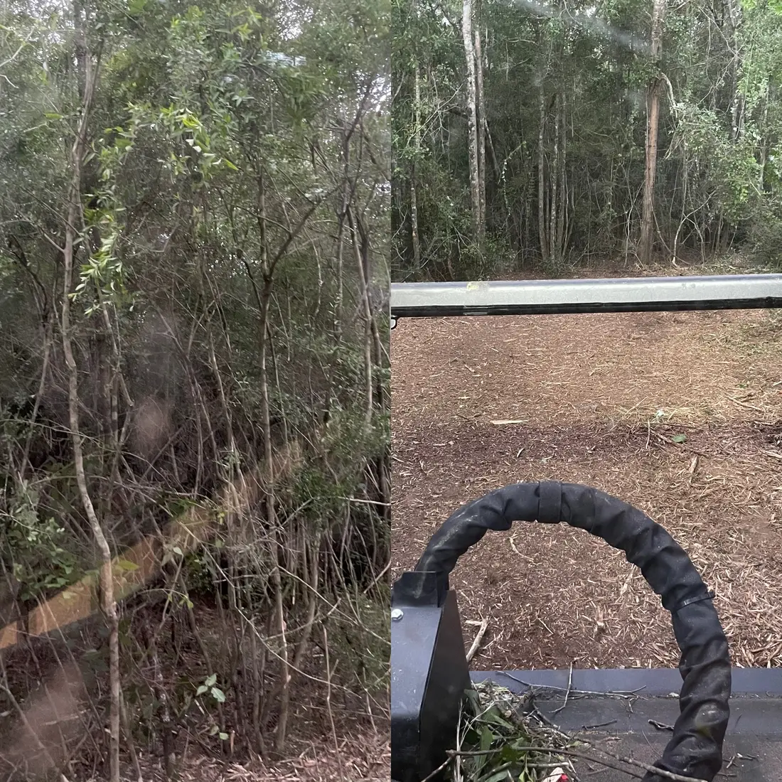 Dense brush knocked down, seen from the machine as the cut opens up
