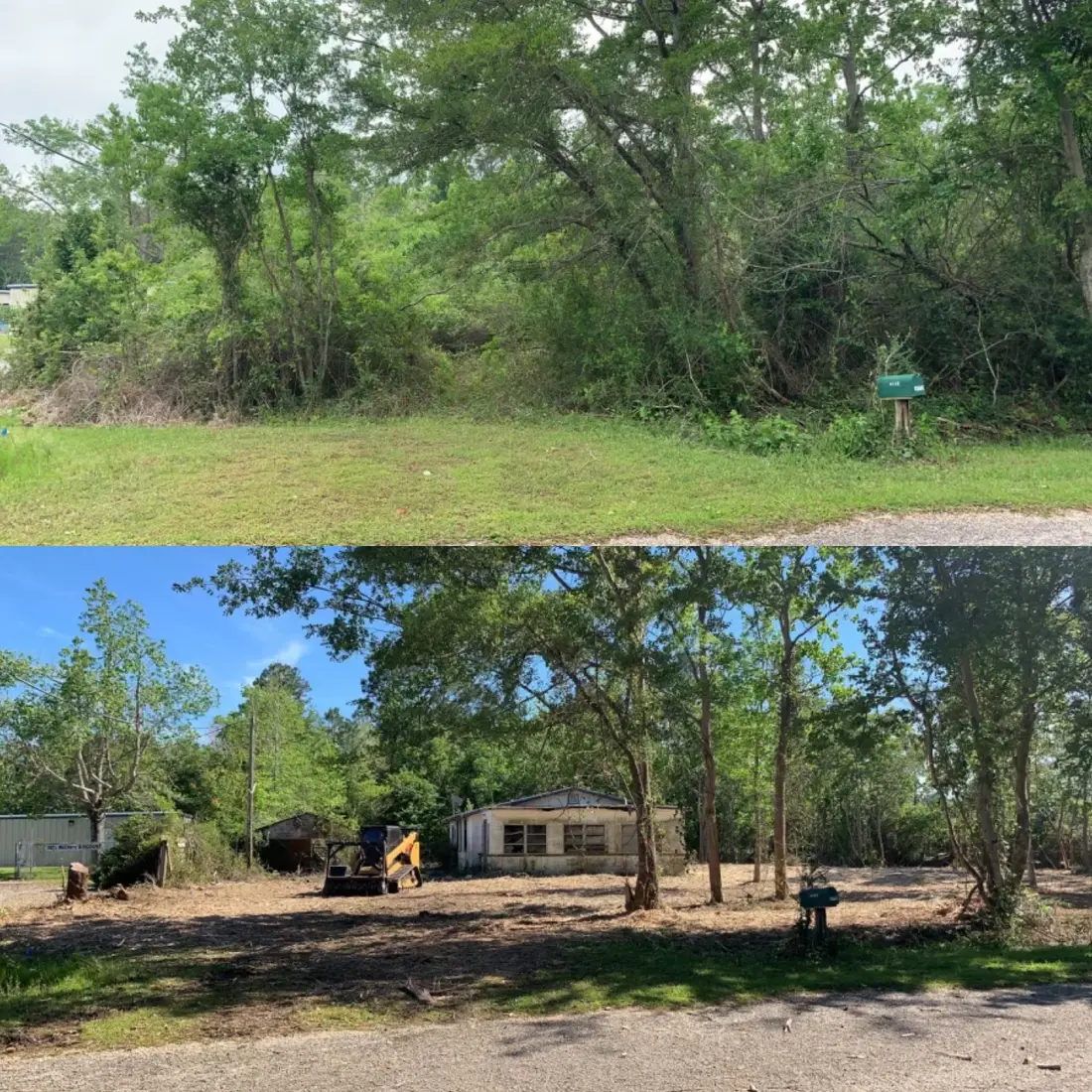 Before and after — overgrown lot cleared to open ground around a home