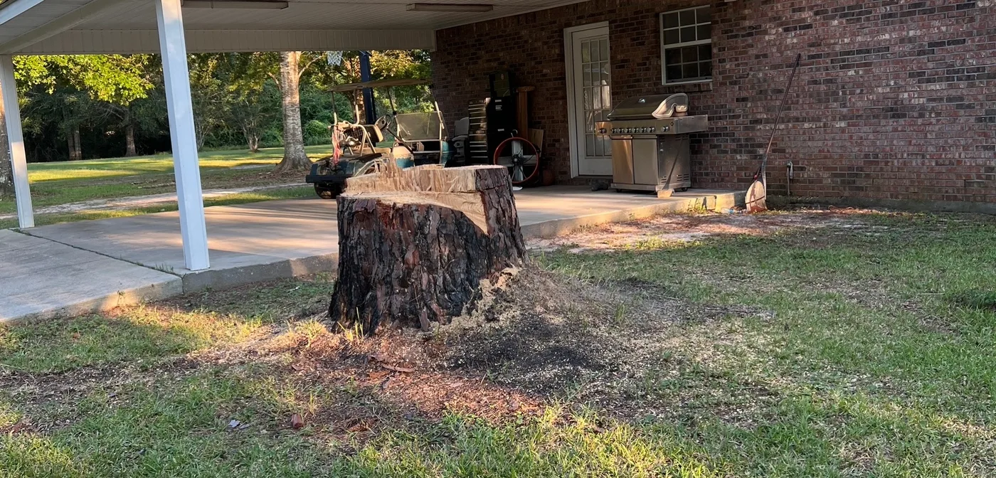 Stump Grinding in Jay, FL