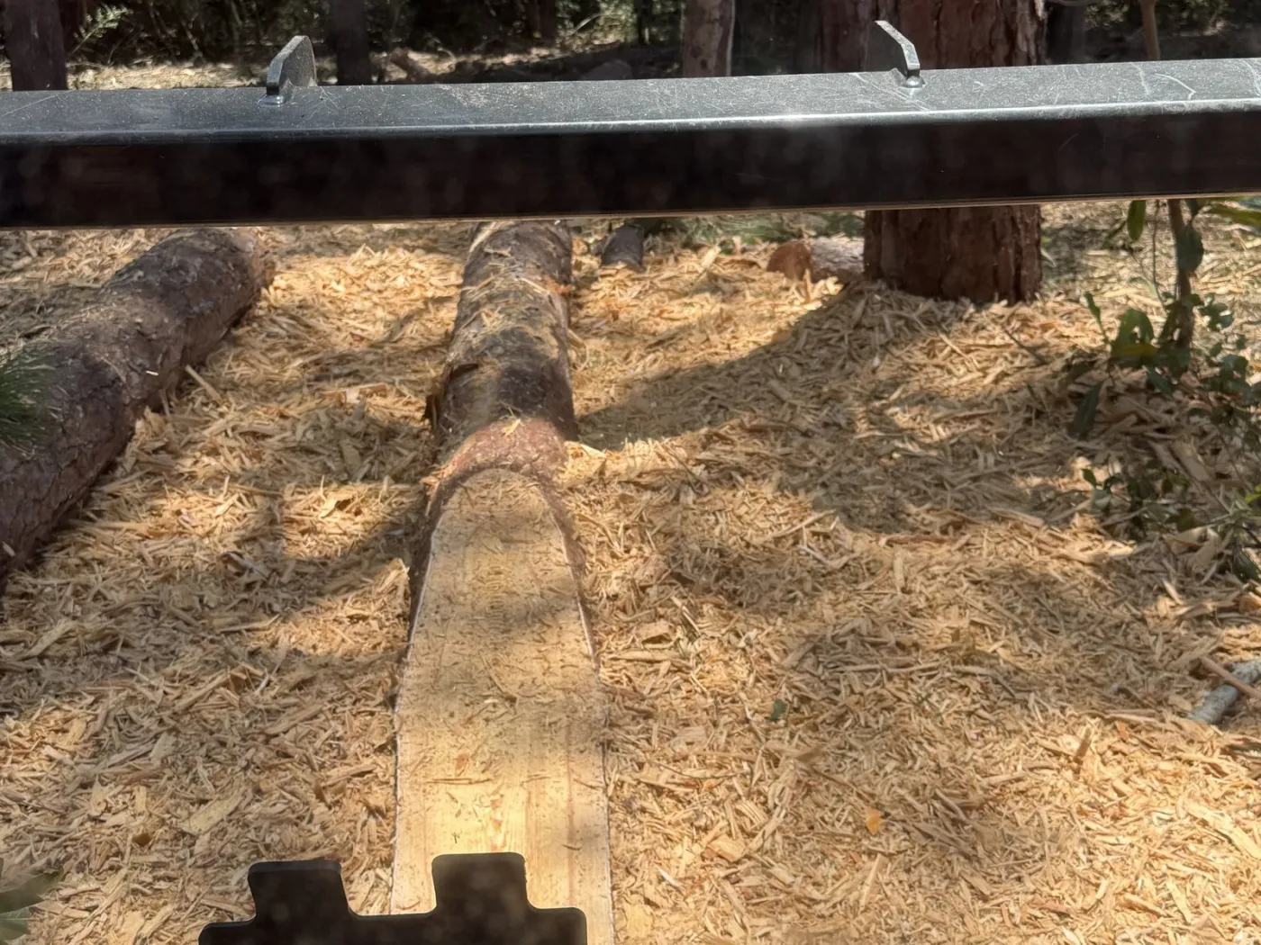 Downed log being fed into the forestry mulcher head during storm cleanup