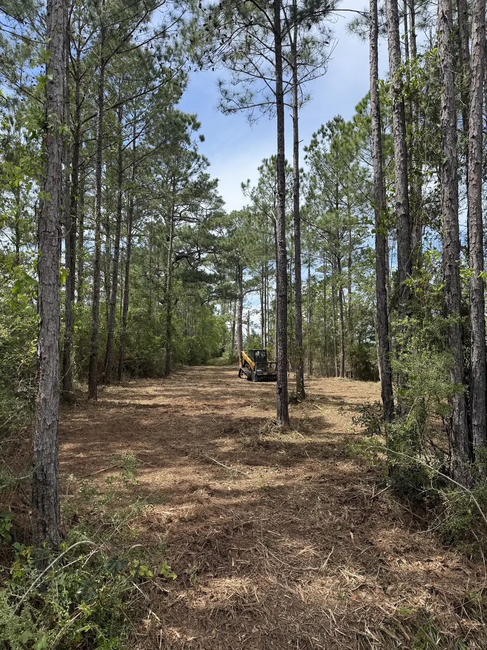 Clearview skid steer working a cleared trail through the pines